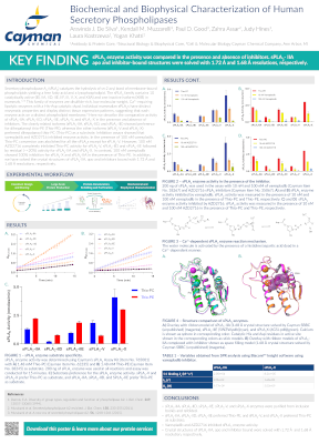<p>​Biochemical and Biophysical Characterization of Human Secretory Phospholipases<br></p>